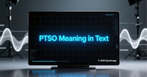 PTSO Meaning in Text