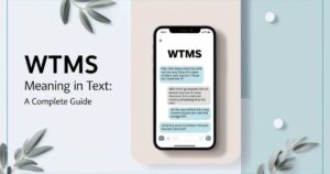 WTMS Meaning in Text