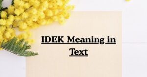 IDEK Meaning in Text