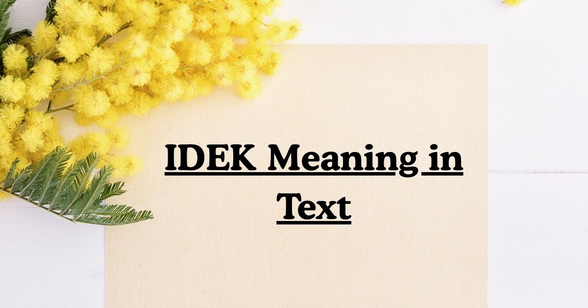 IDEK Meaning in Text