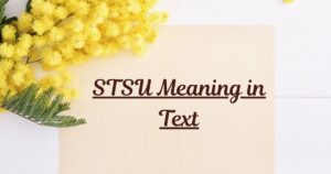 STSU Meaning in Text